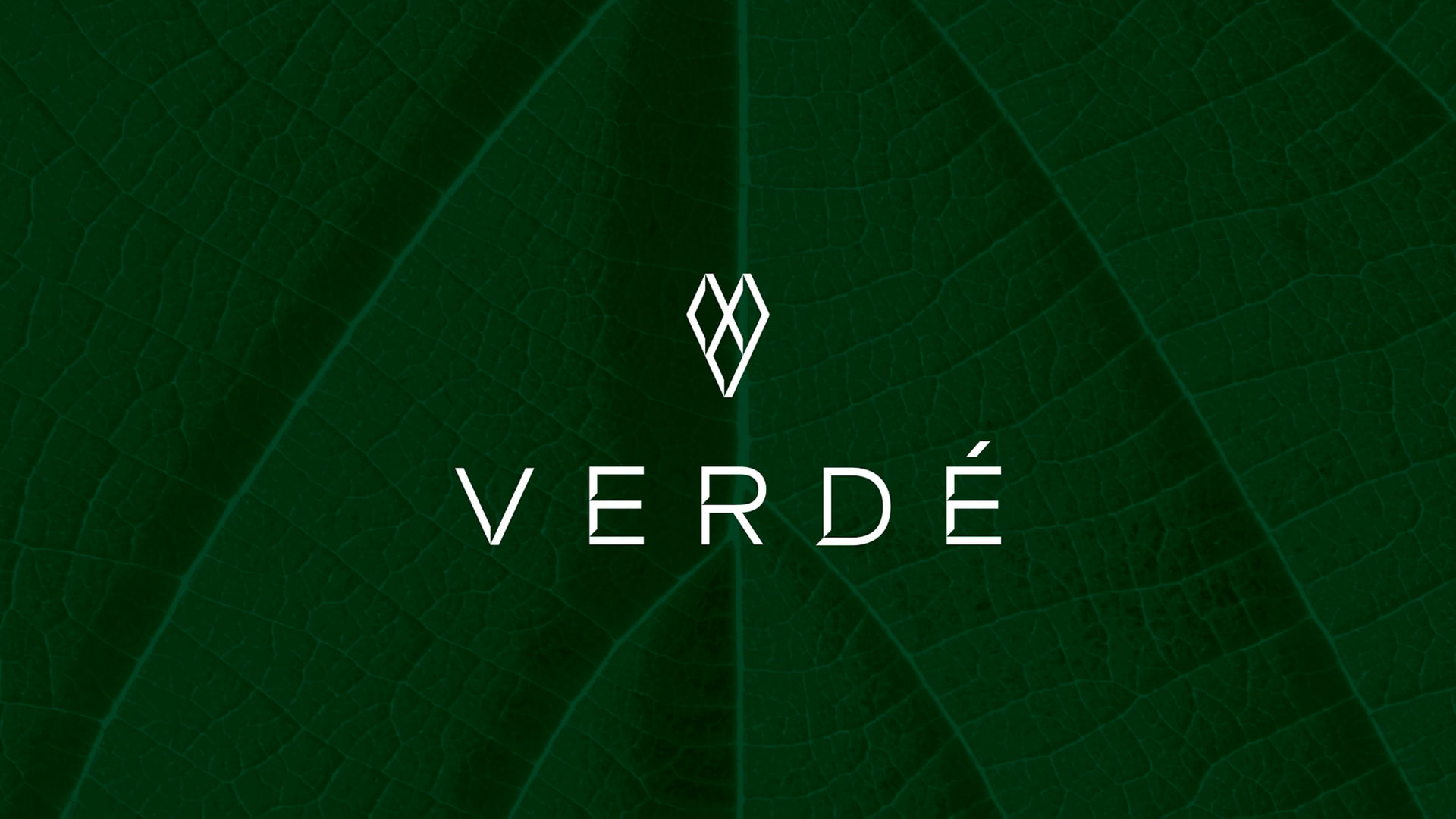 Verde brand video still frame