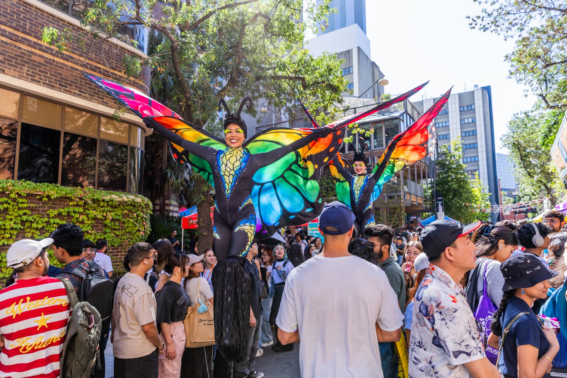 Vibrant butterfly performers spreading their wings at an RMIT University event